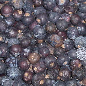 Health food wholesaling: Juniper – Berries,jar