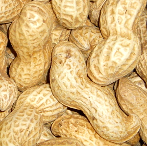 Health food wholesaling: Peanuts – Roasted In The Shell 1kg