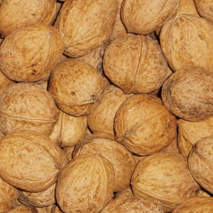 Health food wholesaling: Walnuts – In Shell, 1kg NZ 2024