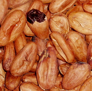 Health food wholesaling: Cacao Beans – Roasted Whole 400g