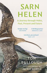 Books: Sarn Helen: A Journey through Wales, Past, Present and Future