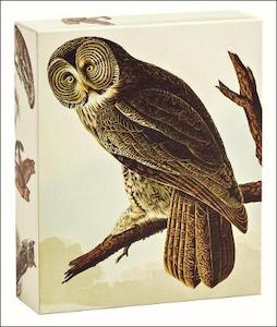 Audubon Owls 20 Notecards with Envelopes