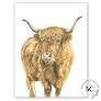 “Wilma” Highland Cow Print by Madison Coulter A4