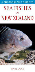 A Photographic Guide to Sea Fishes of New Zealand