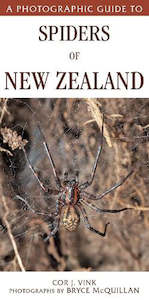 A Photographic Guide to Spiders of New Zealand