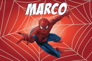 Spiderman Personalised Backdrop