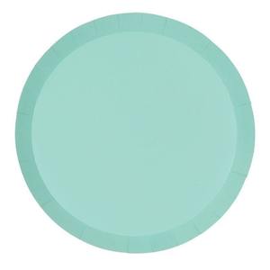 Pastel Mint Green Large Plates 20pk