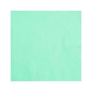 Large Pastel Mint Green Dinner Napkins 40pk