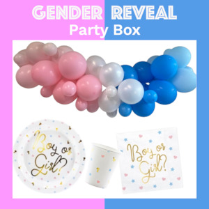 Internet only: Gender Reveal Party Box