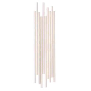 Iridescent Paper Straws 24pk