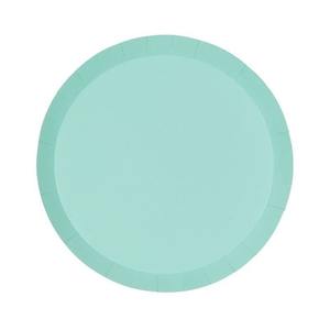 Pastel Mint Green Plates 20pk