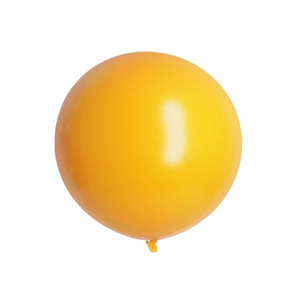 Internet only: Goldenrod 60cm Balloons