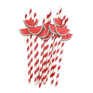 Watermelon Party Straws 20pk