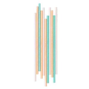 Coloured Iridescent Paper Straws 20pk