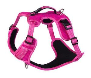 Rogz Explore Harness Pink Lge