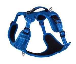 Rogz Explore Harness Blue Med