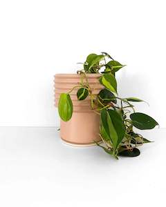 Tall Pink Planter