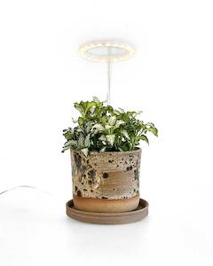 Circle LED Grow Light