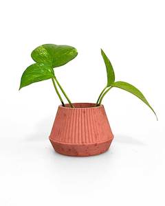 Mini Concrete Planter Red