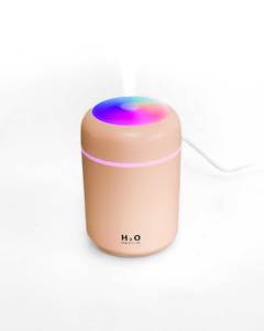 Accessories: Pink Plant Humidifier