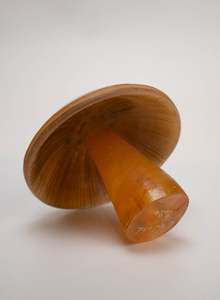 Art gallery: Brown Mushroom - Medium