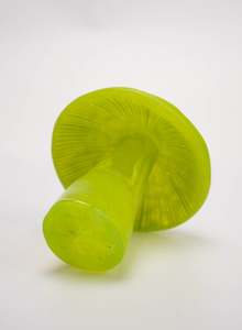 Lime Mushroom - Small