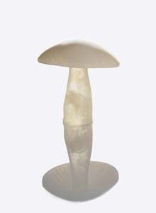 Art gallery: White Mushroom - Medium