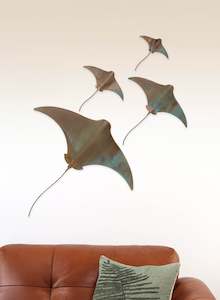 Stingray - Set of 4