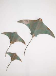 Stingray - Set of 3