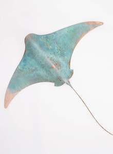 Art gallery: Stingray - XXL