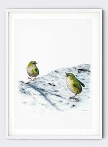 Mother Rockwren Scolding Offspring - Giclée Print