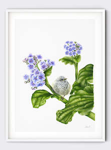 Art gallery: Rifleman on Chatham Island Lily - Giclée Print