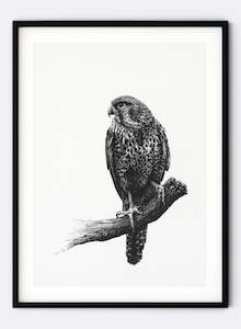 Art gallery: Falcon w/ Pounamu - Giclée Print