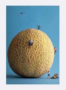 Cantaloopes - Photographic Print