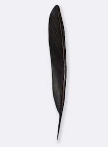 Art gallery: Karearea Copper Feather 1385mm