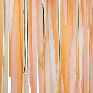 Peach and Gold Metallic Party Streamer Backdrop