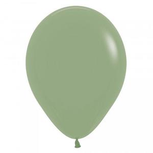 30cm Balloon Eucalyptus (Single)