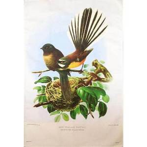 Gift: Fantail Prestige Tea Towel