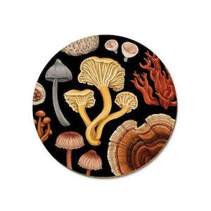 Gift: Wolfkamp & Stone Single Coaster - Fungi Bolete