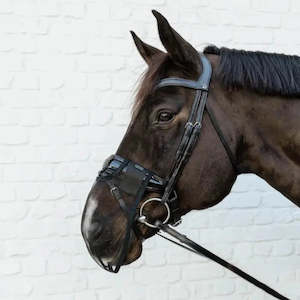 Protection Equipment Horse: Anti Fly Nose Net - Black