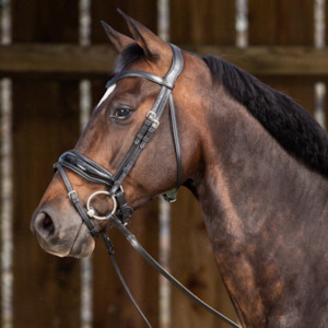 Working Patent Large Crank Noseband Bridle with Flash - Black (Cob)