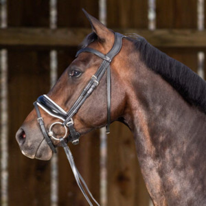 Working Patent Large Crank Noseband Bridle with White Padding and Flash - Black (Cob)