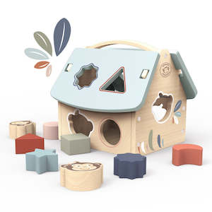 Craft material and supply: Speedy Monkey House Shape Sorter