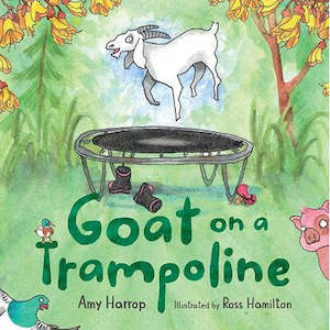 Craft material and supply: Goat on a Trampoline