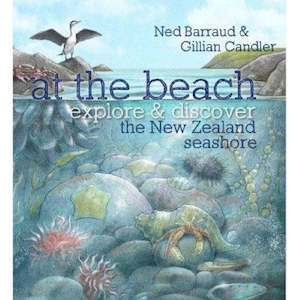 Craft material and supply: At The Beach - Explore NZ Seaside - Paperback