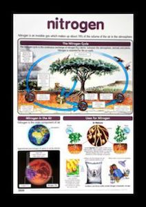 Products: Nitrogen - Poster