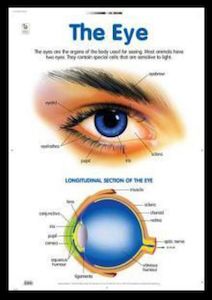 Eye - Poster