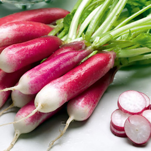 Radish French Breakfast