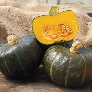 Seed - garden: Squash Burgess Buttercup