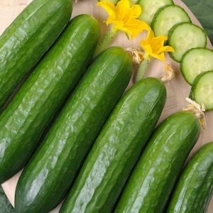 Seed - garden: Cucumber Marketmore